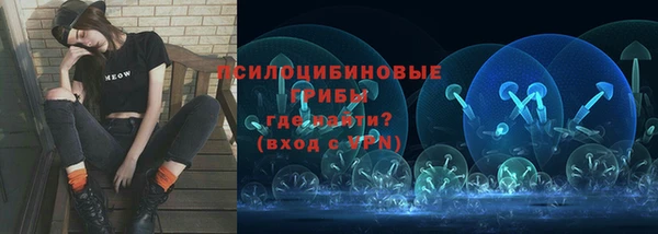 твердый Кукмор
