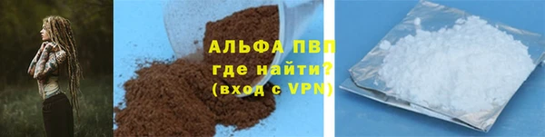 СК Куйбышев