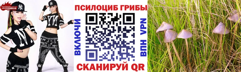 Псилоцибиновые грибы GOLDEN TEACHER  Шиханы 